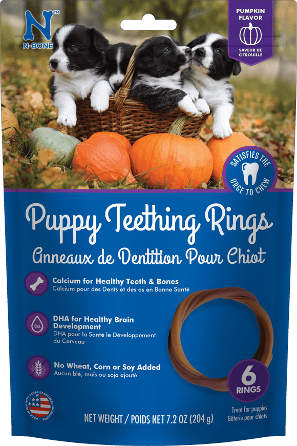N-Bone Puppy Teething Ring Pumpkin