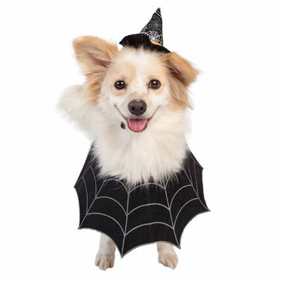Witch Hat and Collar Set Dog and Cat Costume