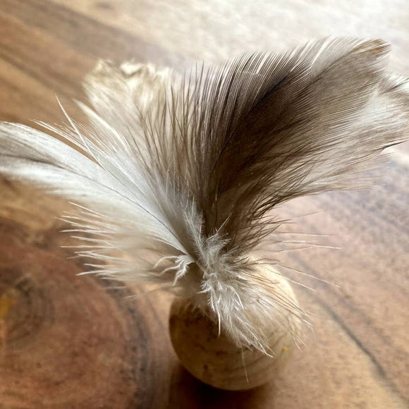 Whiskers 'n Paws Natural Cork Ball Rooster Feathers