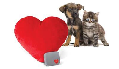 K&H Mother's Heartbeat Puppy/Kitty Heart Pillow Red*