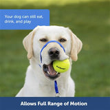 PetSafe Gentle Leader Headcollar Red*