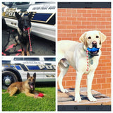 Soda Pup USA K9 Grenade/Rope Blue