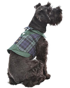 Parisian Pet Scottish Tuxedo Green Blue Plaid