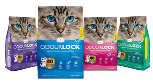 Intersand OdourLock Cat Litter 25lb