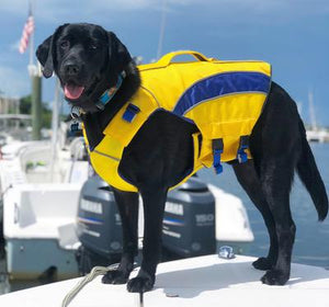 Bay Dog Life Jacket Monterey Bay Yellow