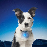 Nite Ize Spotlit LED Collar Light*