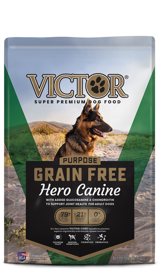 Victor GF Hero Dog