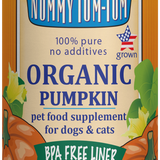 Nummy Tum Tum Organic Pumpkin 15oz