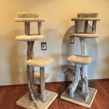 Scratch and Sniff Mini-Bandits