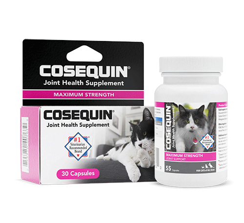 Cosequin Cat Maximum Strength w/Boswellia 60ct