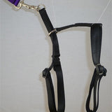 Locatis No Pull Harness Black*