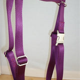 Locatis No Pull Harness Purple