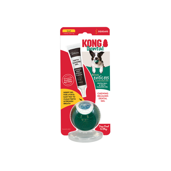 Kong Dental Ball with Enticer Gel