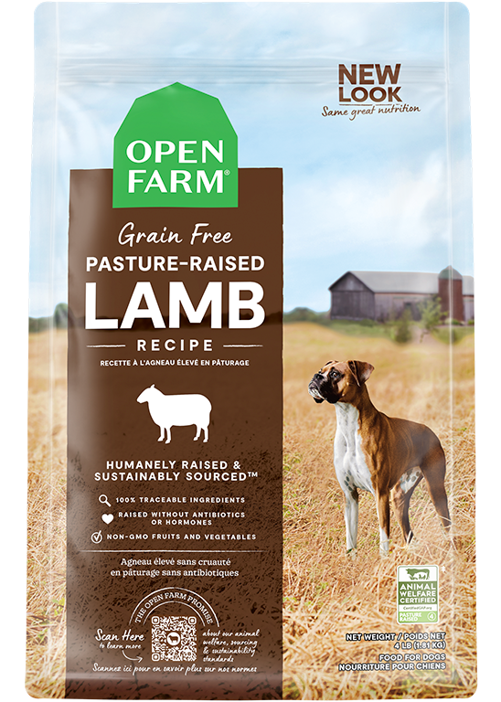 Open Farm Dog GF Pasture Lamb