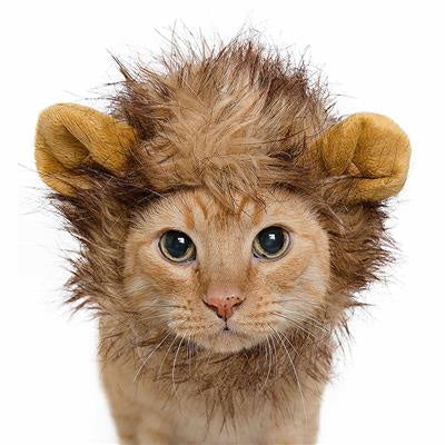 Pet Krewe Lion Mane Costume Small