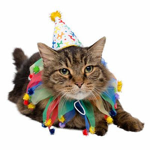Pet Krewe Celebration Hat & Collar Combo