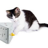Petsafe Cheese Toy