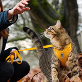 RC Pets Adventure Kitty Harness Marigold