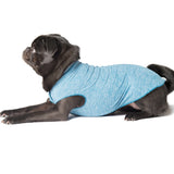 Goldpaw Sun Shield Tee Ocean Blue
