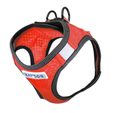 Bay Dog Liberty Harness Red