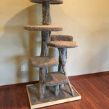 Scratch and Sniff Bandit