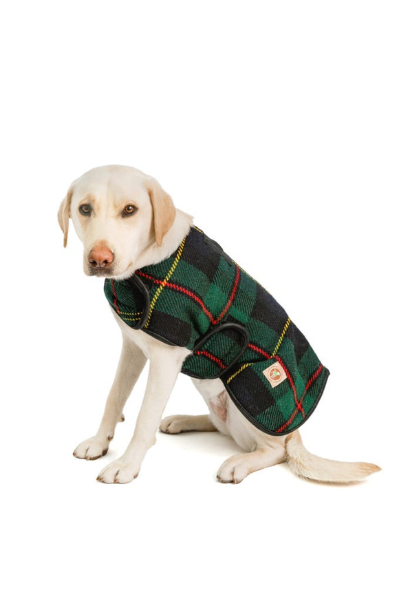Chilly Dog Navy Plaid Coat Tartan*