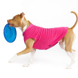 Goldpaw Fleece Fuchsia*