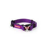EzyDog DoubleUp Collar Purple*