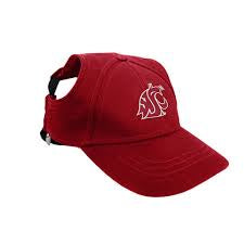 Cougar Pet Baseball Hat