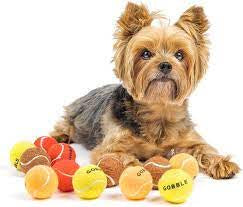 Midlee Thanksgiving Dog Tennis Balls 12pk