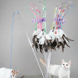 VEE Purrfect Feather Cat Toy