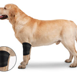 ZenPet Elbow Protector