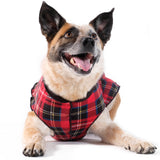 Goldpaw Double Fleece Red Tartan/Black