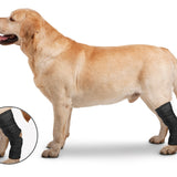 ZenPet Hock Protector