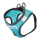 Bay Dog Liberty Harness Teal