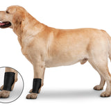 ZenPet Ligament Protector