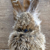 Whiskers 'n Paws Rabbit Birbit Fur & Feather with Lure