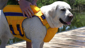 Bay Dog Life Jacket Monterey Bay Offshore Yellow