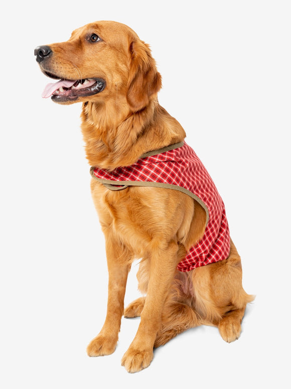 Insect Shield Trail Dog Vest Red