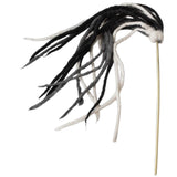 DDKC Teaser Black & White