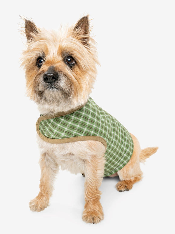 Insect Shield Trail Dog Vest Green